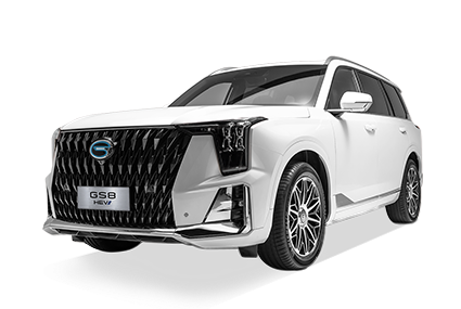  GS8 HEV - GAC Tuxtla in Tuxtla Gutiérrez Chiapas